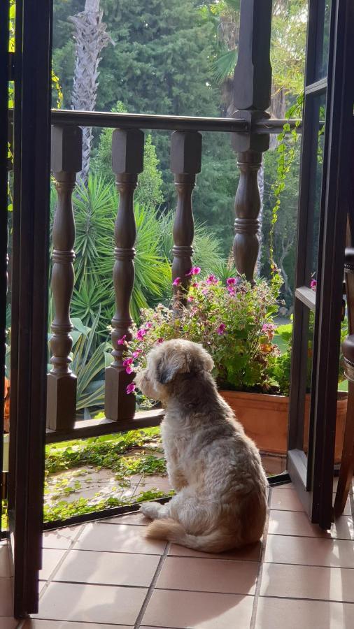 La Casa Del Torreon Bed & Breakfast Aljaraque Dış mekan fotoğraf