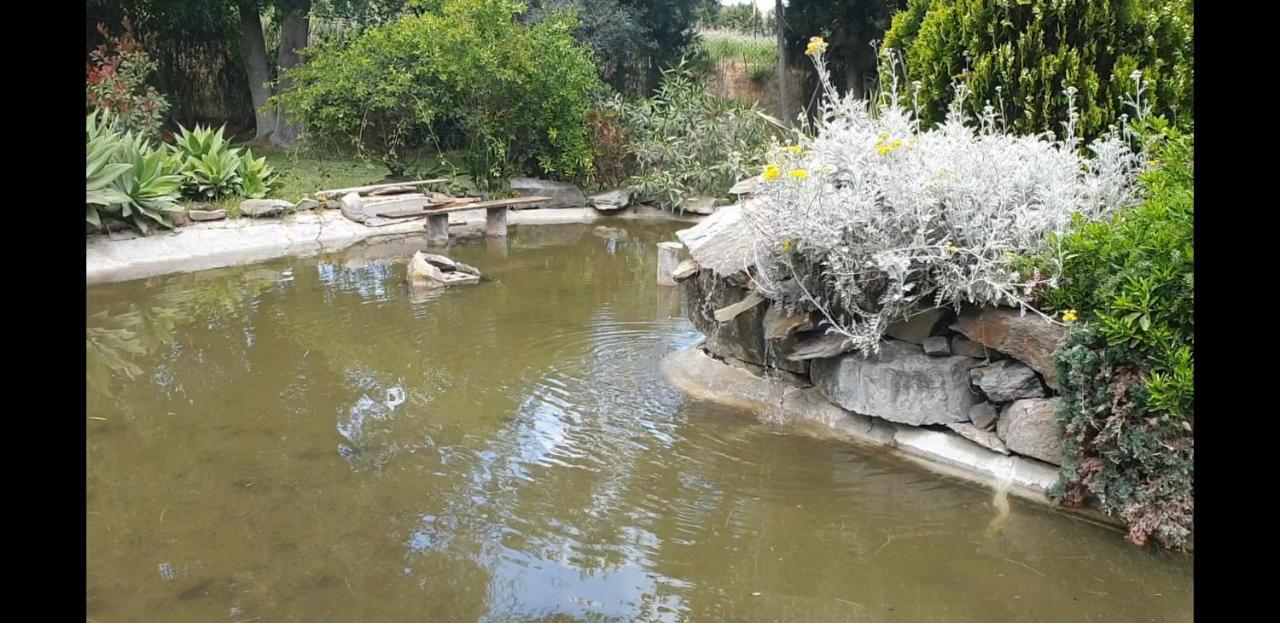 La Casa Del Torreon Bed & Breakfast Aljaraque Dış mekan fotoğraf